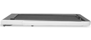 Беговая дорожка Applegate T5 Panel