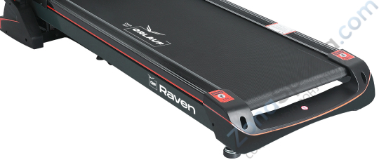 Беговая дорожка Orlauf Raven