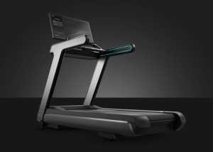 Беговая дорожка Matrix Onyx 22