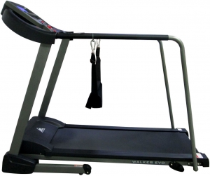 Беговая дорожка DFC Walker Evo T-S1