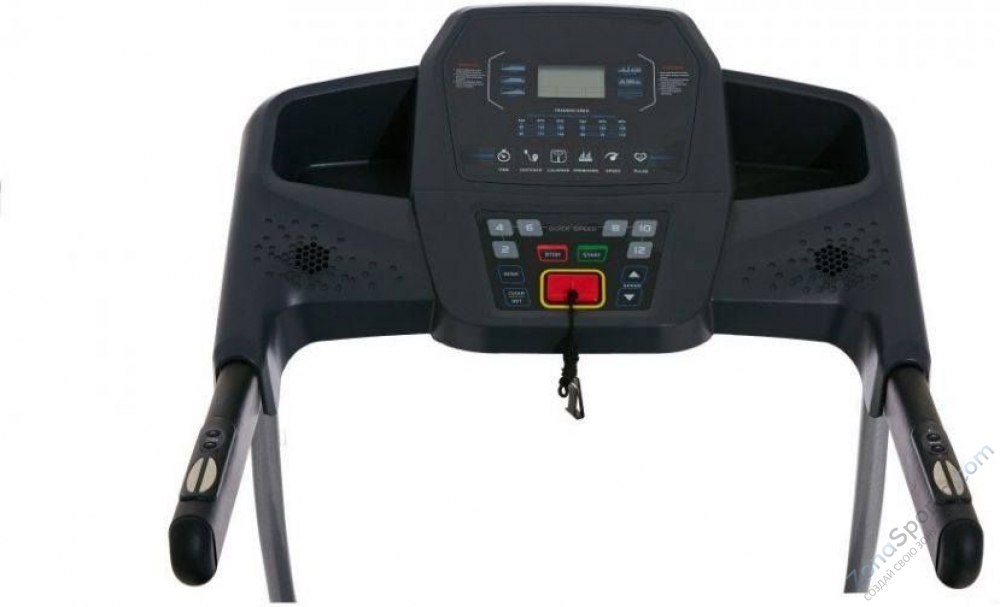 Беговая дорожка Royal Fitness RF-2