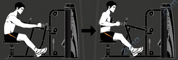 Гребная тяга Steel Flex Hope HRM1700