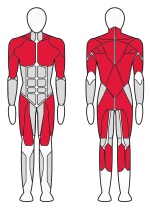 Машина Cмита Fitex Pro FTX-FB63