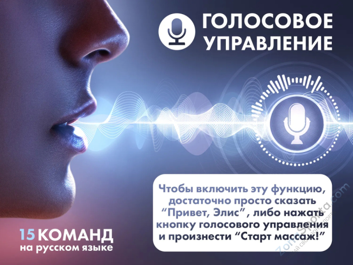 Массажное кресло Fujimo Flexor Business Edition Brown