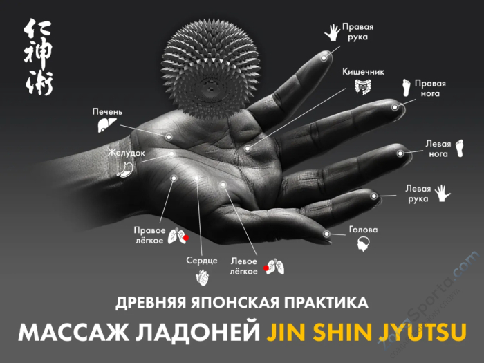 Массажное кресло Fujimo Flexor F500 Grey