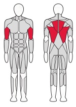 Нижняя тяга Fitex FTX-6213