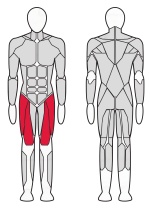 Разгибатель бедра Fitex Pro FTX-61F24