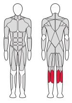 Тренажер Голень сидя Fitex FTX-82018 