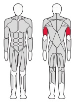 Трицепс машина (брусья) Fitex FTX-82034