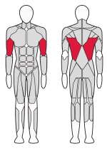 Тяга вниз Fitex Pro FTX-7315