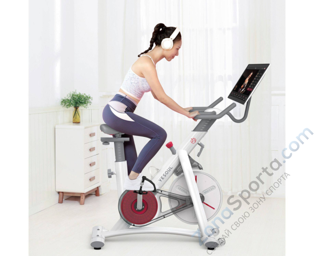 Велотренажер Yesoul BS3-W Pro Plus