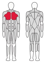 Жим горизонтальный (нижняя компоновка рычагов) Fitex Pro FTX-7304